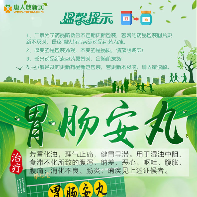 胃肠安丸(乐仁堂)